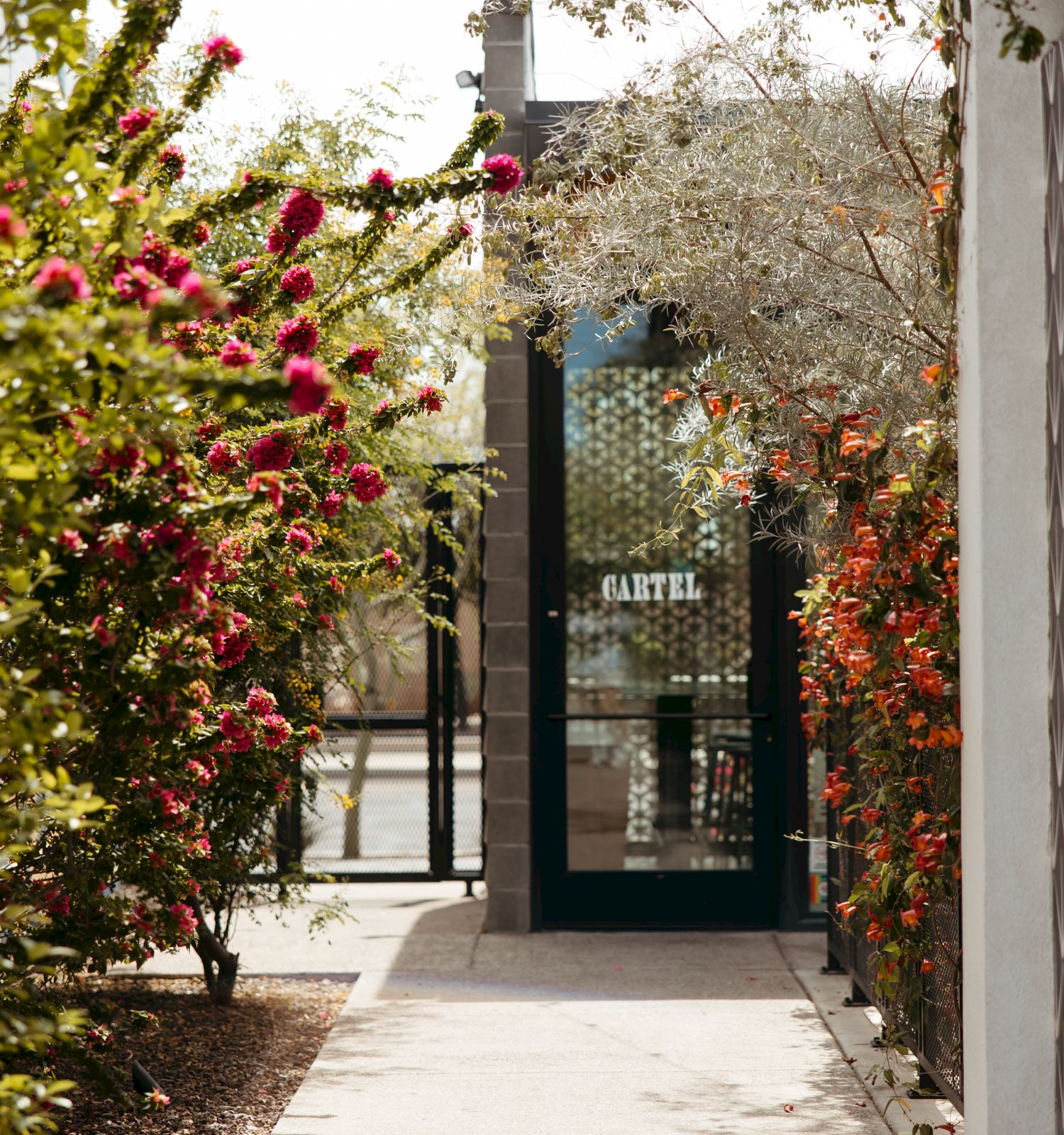 A narrow pathway lined with flowering plants leads to a modern glass door, surrounded by greenery and a patterned wall on the right.