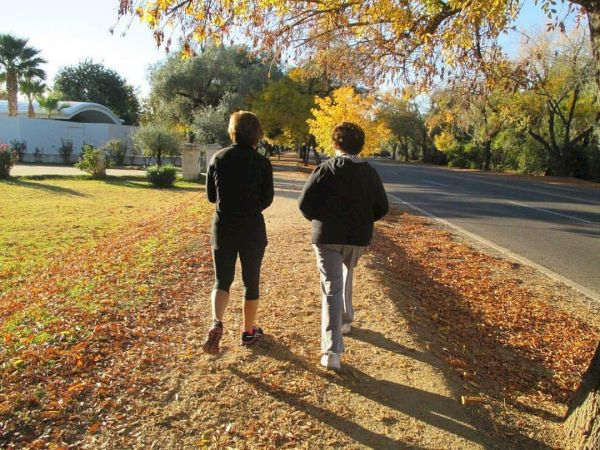 Two people are walking on a path surrounded by autumn foliage, with sunlight casting long shadows in the late afternoon.