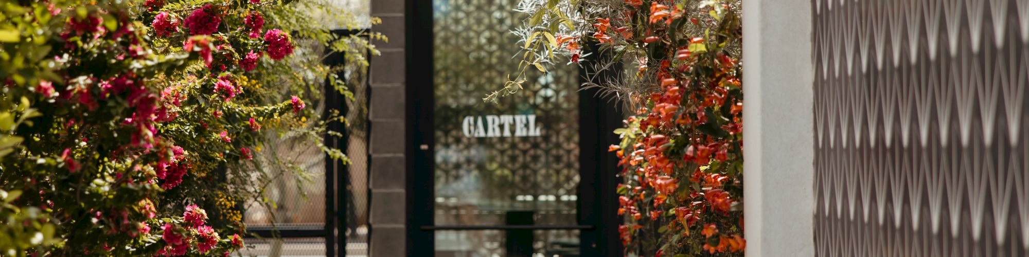 A narrow garden path lined with blooming bushes leads to a glass door entrance, flanked by tall lattice walls and greenery.