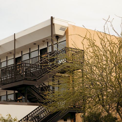 A modern building with large windows and exterior staircases, surrounded by trees with red flowers in the foreground.