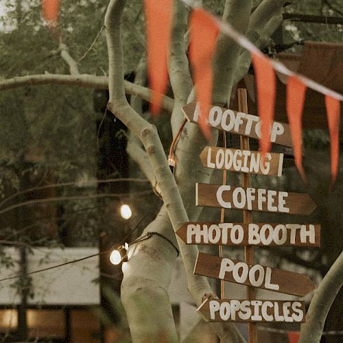 A tree with a signpost pointing to various amenities: rooftop, lodging, coffee, photo booth, pool, and popsicles, adorned with festive lights.