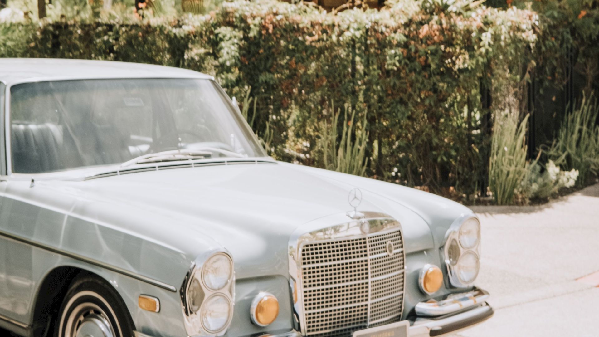 A vintage Mercedes limousine parked by a garden hedge, with its chrome grille and hood ornaments clearly visible.