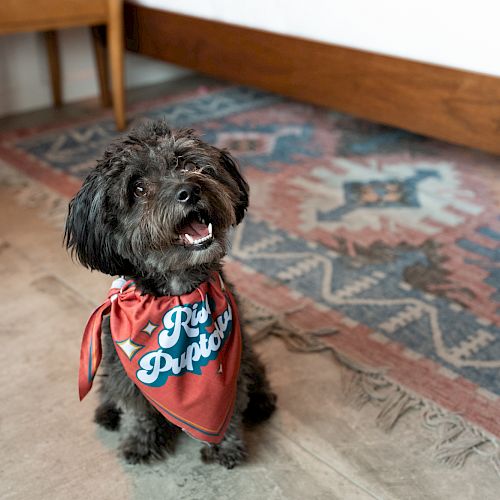 A small black dog wearing a red bandana with "Rescue Pup" printed on it sits on a floor next to a patterned rug, looking up while panting.